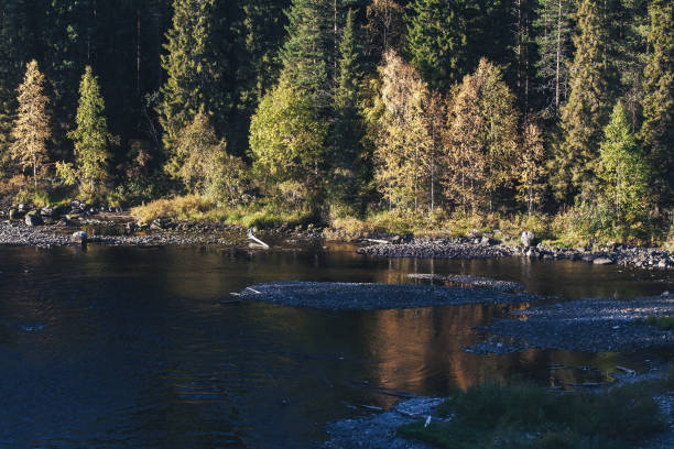 istock Landscape of the Autumn Nature 1126247516