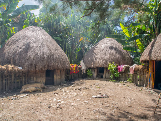 istock Baliem Valley, West Papua 1126252003