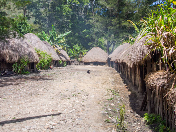 istock Baliem Valley, West Papua 1126252139