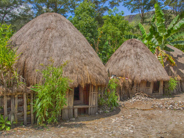 istock Baliem Valley, West Papua 1126257510