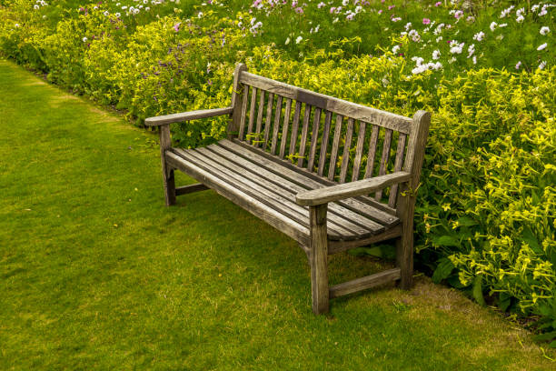 istock Empty Bench In Park Surrounded By Colorful Flower Meadow 1126258514