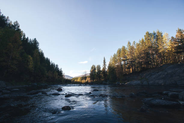 istock Forest River and Trees with Yellow Autumn Foliage 1126258633