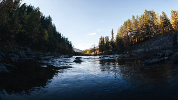 istock Forest River and Trees with Yellow Autumn Foliage 1126258711