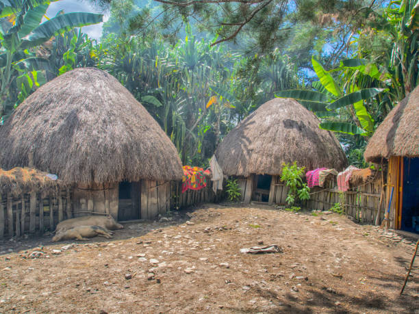 istock Baliem Valley, West Papua 1126258806