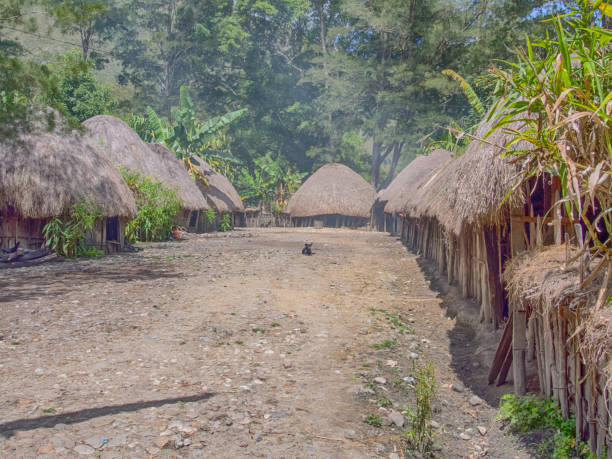Baliem Valley, West Papua