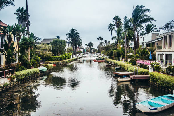 istock Canals in Venice California 1126266810