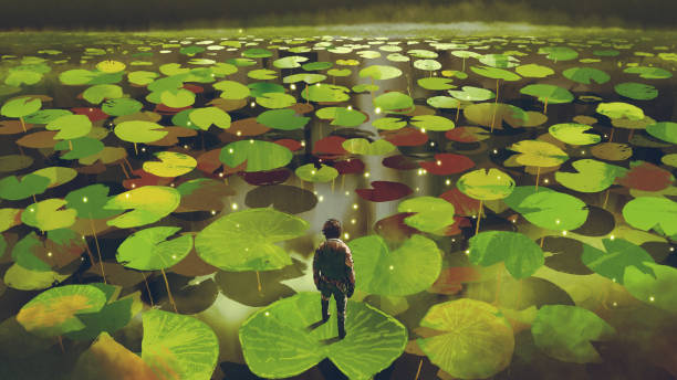 istock adventure in the fantasy swamp 1126266907
