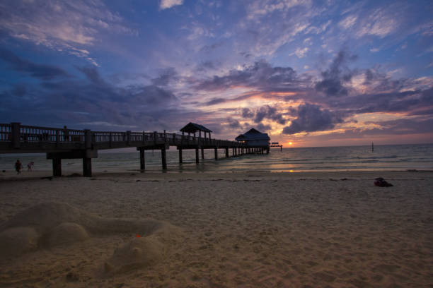 istock Sand Dragon on Beach at Sunset 1126269250