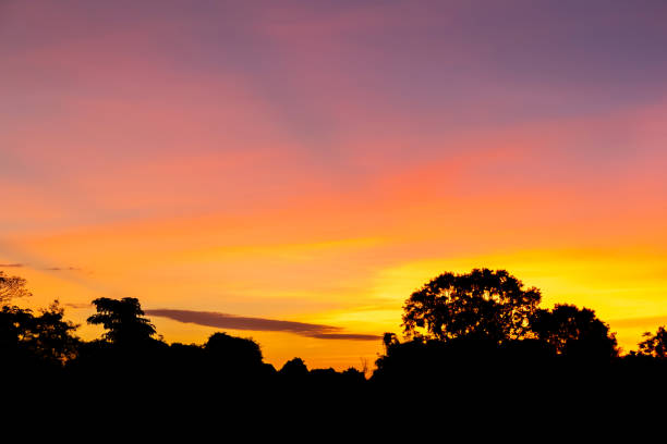 istock Scenery in the sunrise 1126272325
