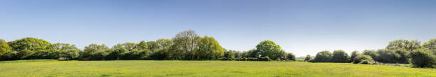 istock panorama of green farm land 1126274000