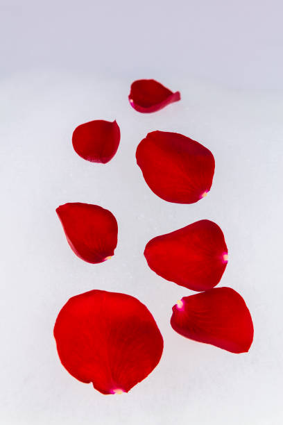 Red Rose Petals Resting On Bath Bubbles stock photo