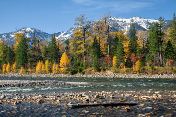 istock River Snezhnaya (Snowy)  in the autumn 1126278861