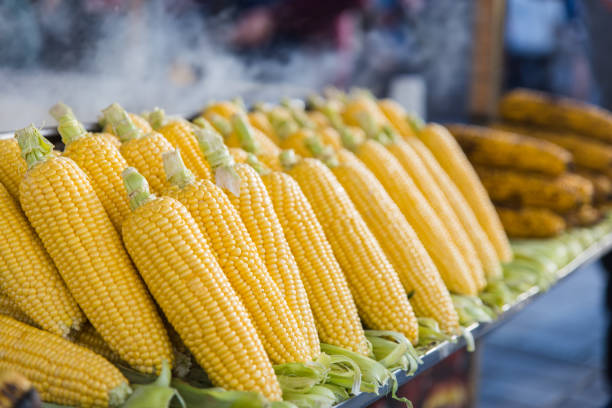 street food - mais - corn on the cob corn cooked boiled foto e immagini stock
