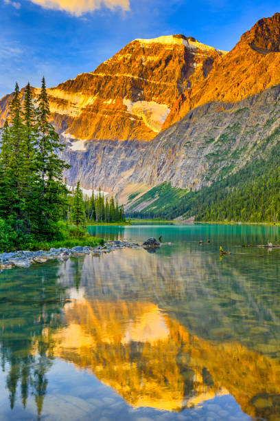 Jasper National Park in Alberta Canada Mt Edith Cavell at dawn in Jasper National Park jasper national park stock pictures, royalty-free photos & images