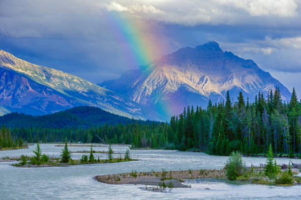 Jasper National Park in Alberta Canada Clearing storm in Jasper National Park 2655 stock pictures, royalty-free photos & images