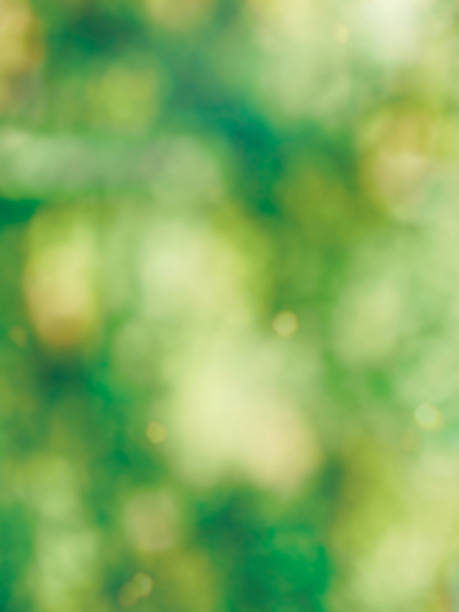 istock Leaf bokeh in the forest, missed focus 1126293703