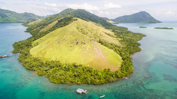 istock Beautiful nature view at Sirongol Hill 1126297752
