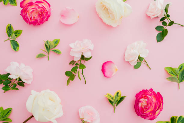 istock Floral pattern composition with roses flowers and leaves on pink background. Flat lay, top view. Valentines day 1126302733
