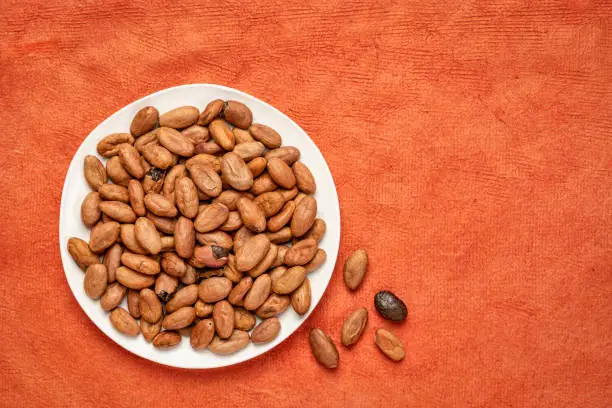 raw cacao beans on a white plate against red textured paper background with a copy space
