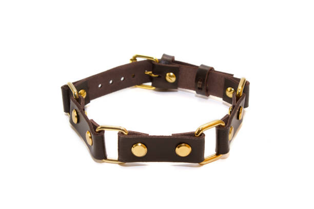 istock Leather brown collar on the neck on a white background 1126308880