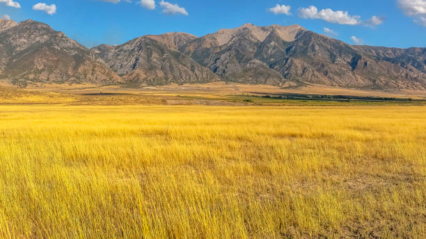 istock Grassy field and rugged mountains against blue sky 1126316249