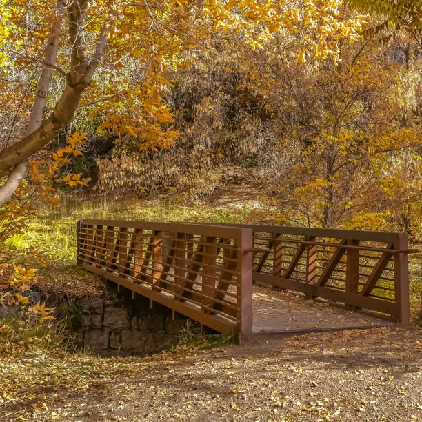 istock Bridge and trees with yellow leaves in autumn 1126316251