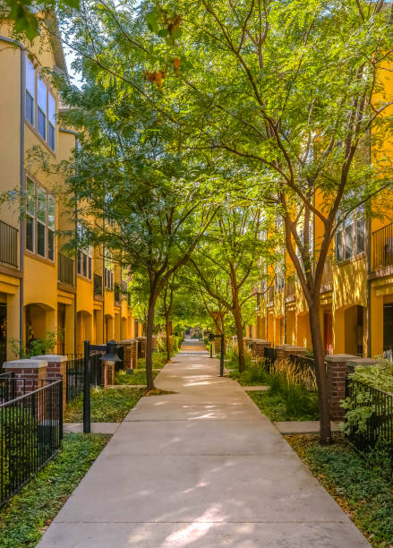 istock Pathway with colorful townhouses on both sides 1126316284