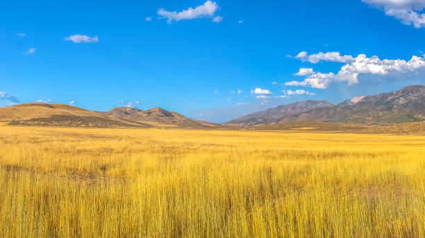 istock Field and mountain against vivid sky with clouds 1126321515