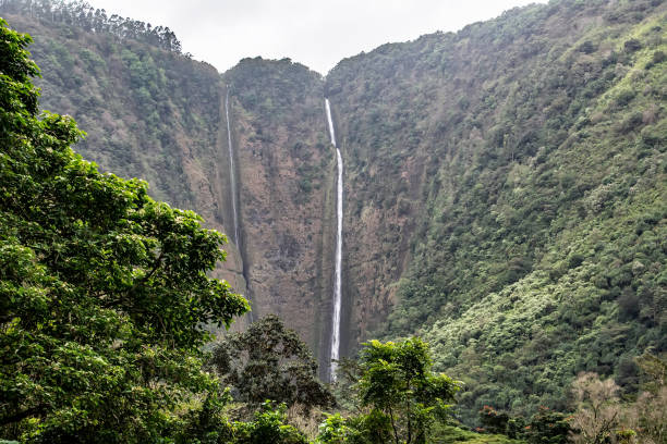 hiilawe falls as seen from the waipio valley on the big island of hawaii - hamakua coast imagens e fotografias de stock