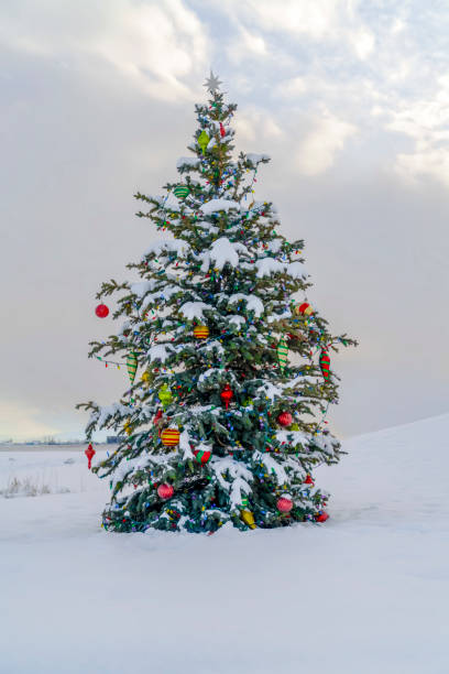 istock Outdoor Christmas tree on snowy ground against sky 1126324416