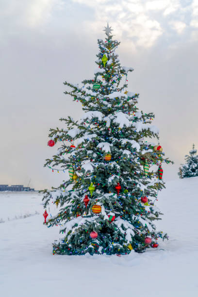 istock Winter scene with tree decorated for the holidays 1126324471