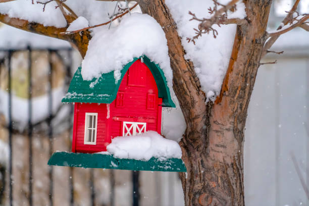 istock Winter scenery with miniature house on a tree 1126324472