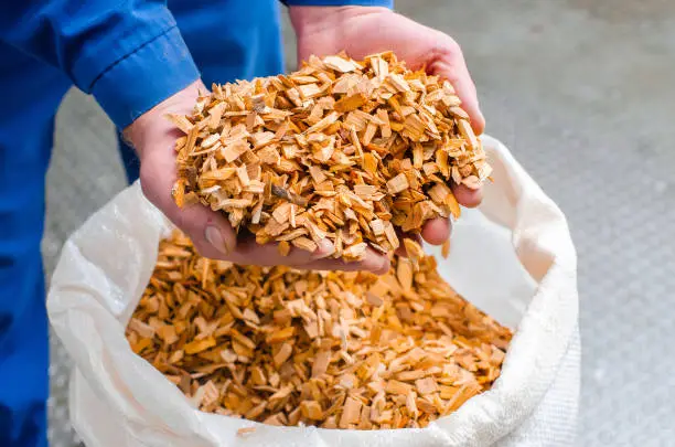 Photo of Wood chips. The line for the production of smoked delicacies. Industrial manufacture of sausage products. Smokehouse of meat products