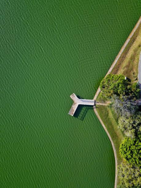 istock green lake and Y shape pier 1126337505
