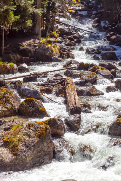istock Dombay. Mountain river Murudzhu 1126338259
