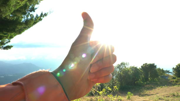 le mani femminili alzano di nuovo il sole splendente - hand sign human hand ok sign grass foto e immagini stock