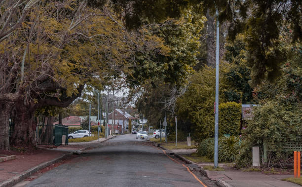 istock Leafy quiet suburban walkway, with sealed narrow road 1126342928