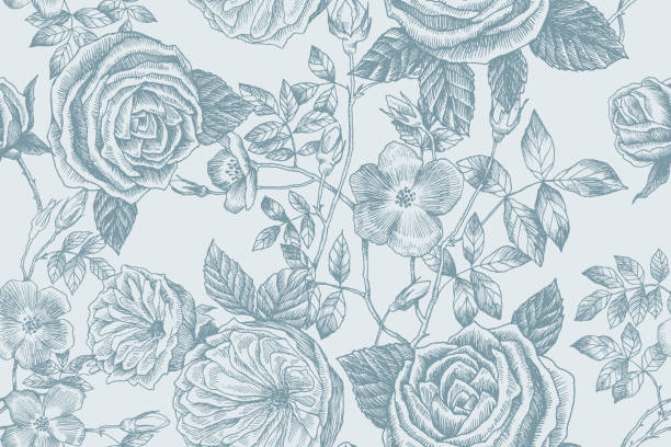 야생 장미 꽃 지점 완벽 한 패턴입니다. 빈티지 식물 손으로 그려진된 그림. 봄 정원 장미, 개 장미 꽃입니다. 벡터 디자인입니다. 인사말 카드, 청첩장, 패턴에 대 한 사용할 수 있습니다. - 5901 stock illustrations