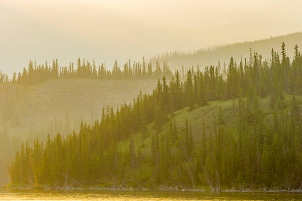 istock Jasper National Park in Alberta Canada 1126346532