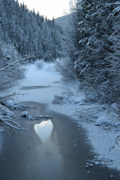 istock Heart on Ice in Winter 1126346599