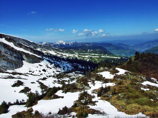istock Stones and rocks of Churfirsten mountain range 1126350973