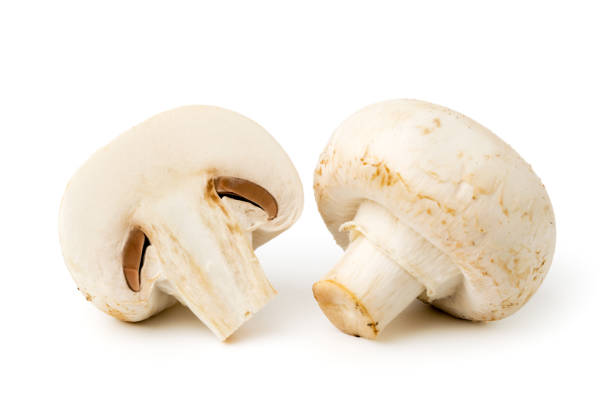 istock The whole mushroom and half on a white. 1126351928