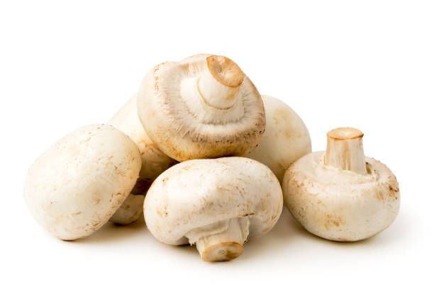 istock A bunch of mushrooms on a white 1126351973