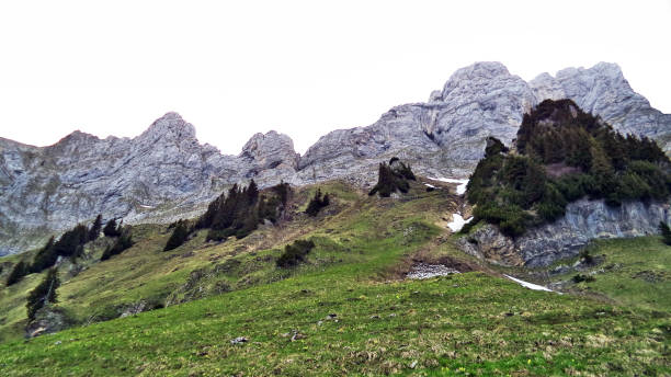 istock Pastures and meadows between the Churfirsten mountain range and Lake Walensee 1126353025