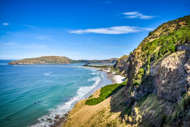 istock Heyward Point views, Waitati, Otago New Zealand 1126357337