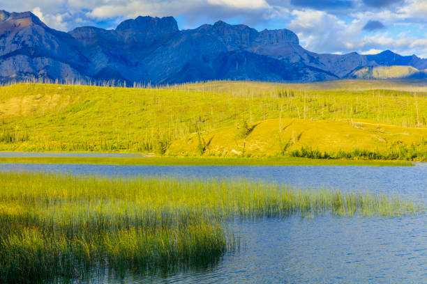 istock Jasper National Park in Alberta Canada 1126358579