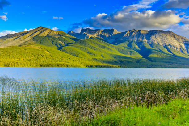 Jasper National Park in Alberta Canada