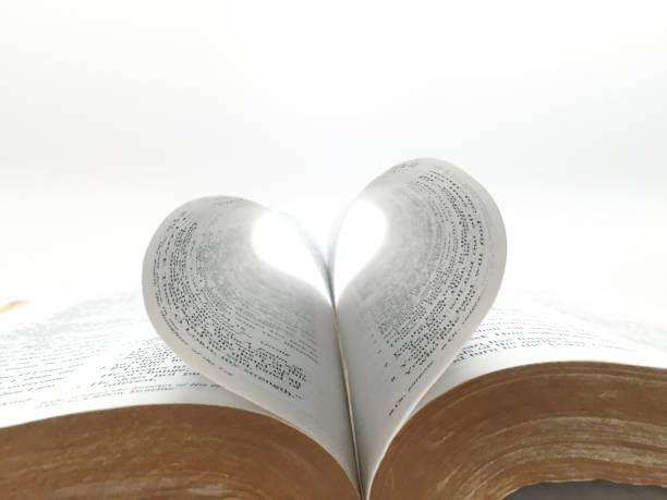 heart shape Bible book pages on white background close up