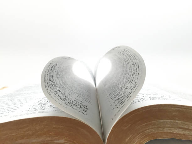 Heart Shaped Open Bible Book Pages heart shape Bible book pages on white background close up god stock pictures, royalty-free photos & images