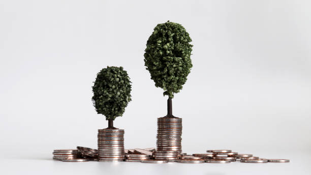 istock The pile of coins and miniature trees. 1126359622